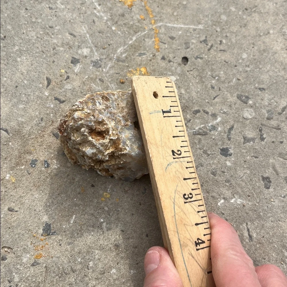 Natural Raw Sandstone with Quartz Flint Deposits picked in remote TN Mountains